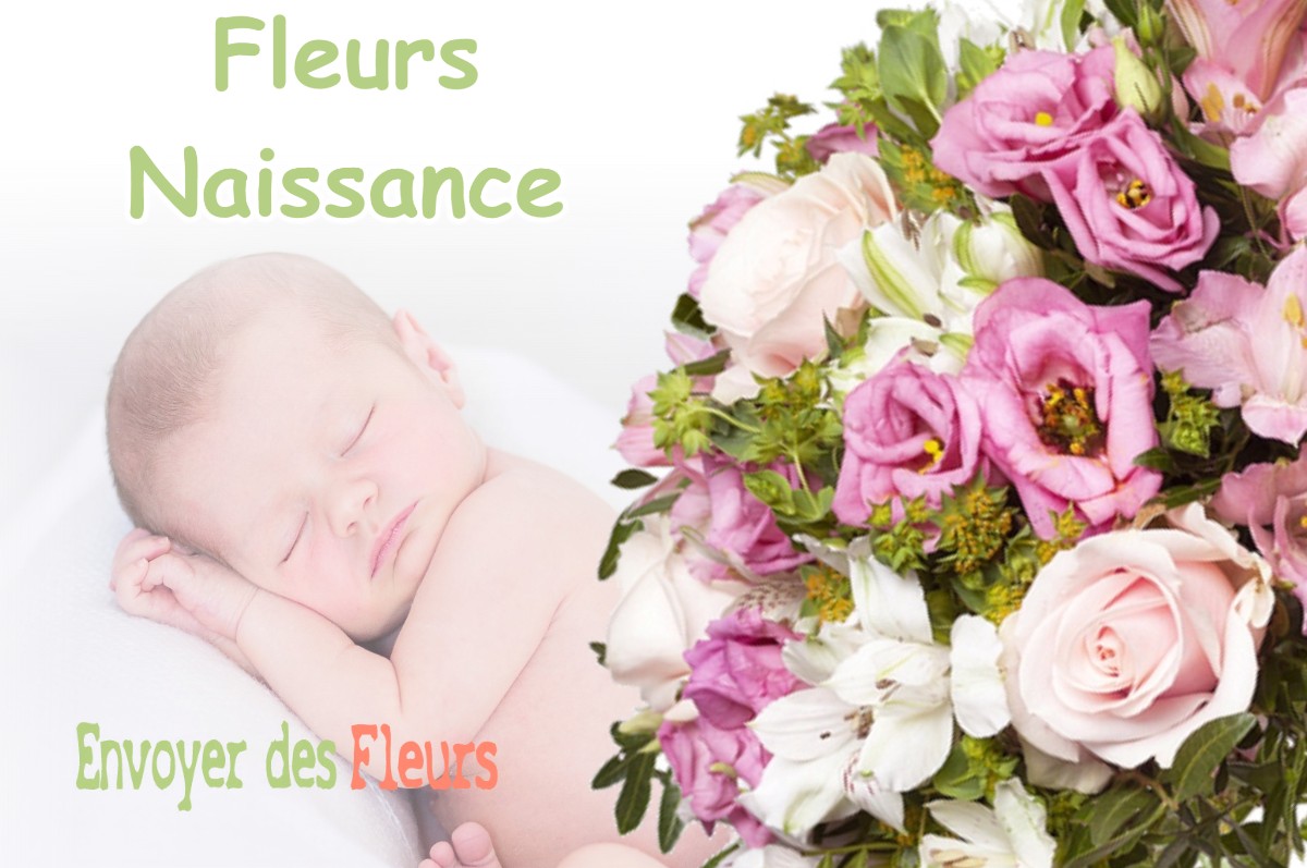 lIVRAISON FLEURS NAISSANCE à OUDAN